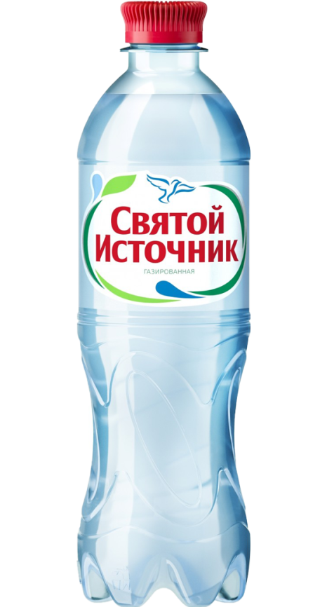 Святой Источник 0,5 л. (12 шт.) газ фото 1